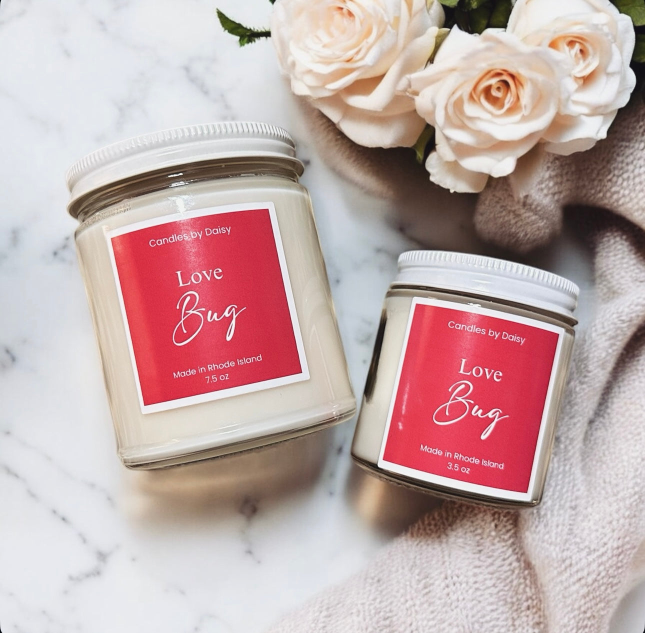 Love Bug Valentine Set
